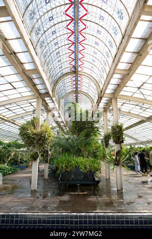 Botanischer Garten Mexiko-Stadt Chapultepec Stockfoto