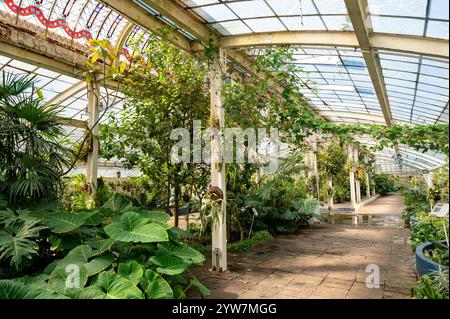 Botanischer Garten Mexiko-Stadt Chapultepec Stockfoto