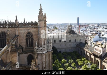 Innenhof mit Orangenbäumen (Patio de los naranjos) der Kathedrale von Sevilla, vom Giralda-Turm aus gesehen Stockfoto