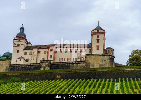 Blick auf die Festung am Marienberg und die Weinberge in Würzburg, Bayern, Deutschland Stockfoto