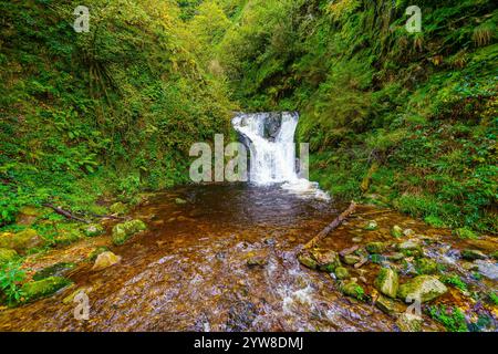 Blick auf die Allerheiligen im Schwarzwald, Baden-Württemberg, Deutschland Stockfoto