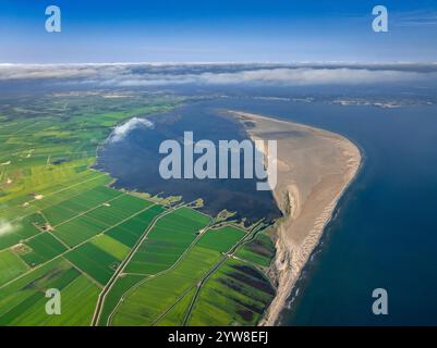 Aus der Vogelperspektive auf die Bucht und den Punkt Fangar und die Reisfelder des Ebro-Deltas, grün an einem Sommermorgen (Baix Ebre, Tarragona, Katalonien, Spanien) Stockfoto