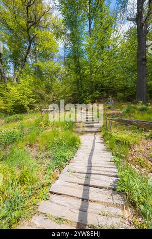 Langer Weg im Park, der mit Holz bedeckt ist, mit Treppen am Ende in einem wunderschönen grünen Park Stockfoto