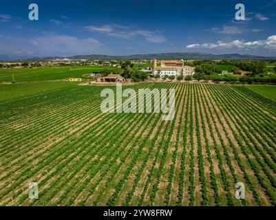 Aus der Vogelperspektive auf die Burg, den Turm und die Eremitage des Mare de Déu de l'Aldea und die umliegenden Felder des Ebro-Deltas an einem Sommermorgen (Spanien) Stockfoto