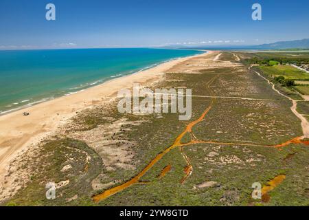 Luftaufnahme des Strandes und der Urbanisierung von L'Eucaliptus im Ebro-Delta an einem Sommermorgen (Montsià, Tarragona, Katalonien, Spanien) Stockfoto