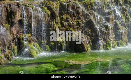 Ein ruhiger Wasserfall fällt über moosbedeckte Felsen in einen klaren, grünen Bergfluss. Die üppige, lebendige Umgebung erinnert an Ruhe und natürliche Atmosphäre Stockfoto