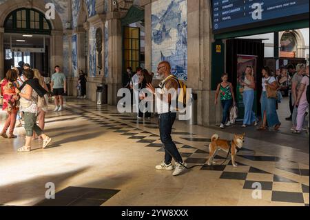 Porto, Portugal - 12. September 2024 : Mann geht seinen Hund in einem belebten Bahnhof in den frühen Abendstunden Stockfoto