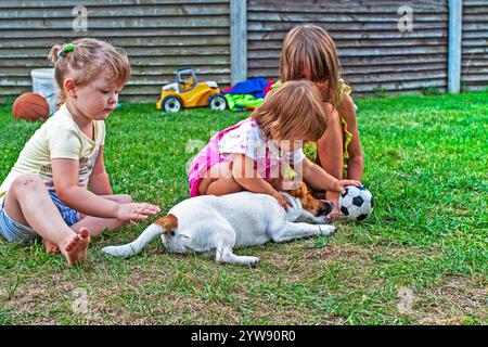 Glückliche kleine Mädchen, die einen russell-Terrier-Welpen auf Gras streicheln. Kleine Freunde Stockfoto