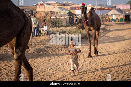 Pushkar Camel Fair Stockfoto