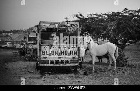 Pushkar Camel Fair Stockfoto