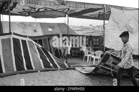 Pushkar Camel Fair Stockfoto