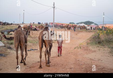 Pushkar Camel Fair Stockfoto