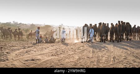 Pushkar Camel Fair Stockfoto
