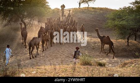 Pushkar Camel Fair Stockfoto