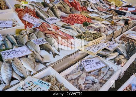 Frischer Fisch zum Verkauf auf einem täglichen Markt auf dem Marktplatz der Stadt Campo santa margherita in Venedig an einem sonnigen Wintertag, Italien, Europa Stockfoto