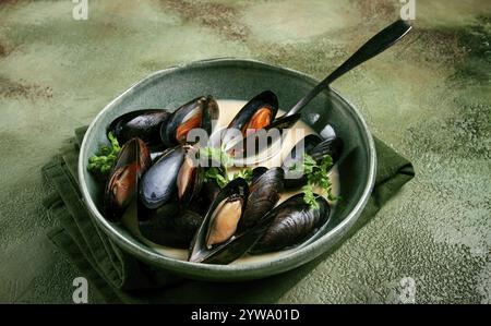 Muscheln in Muscheln, in cremiger Knoblauchsauce, Muscheln in Bechamelsauce, hausgemacht, keine Leute Stockfoto