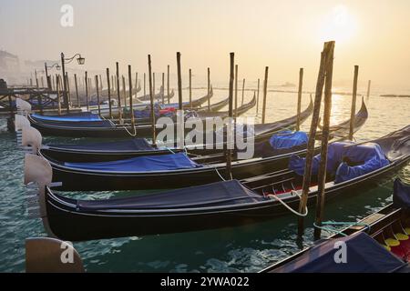 Blick von „Colonna di San Marco e San Teodoro“ auf die Gondeln, die bei Sonnenaufgang in Venedig an einem nebeligen Morgen im Winter im Wasser liegen, Italien, Europa Stockfoto