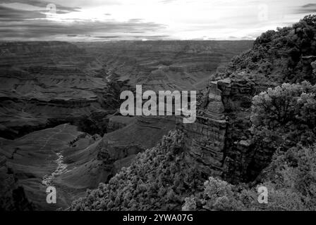 Infrarotbild am späten Nachmittag im Grand Canyon Arizona Stockfoto