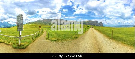 Die üppigen Wiesen der seiser alm führen zu Wanderwegen, die unter dem hellen Sommerhimmel im Dolomiten in Richtung schlernmassiv wandern Stockfoto