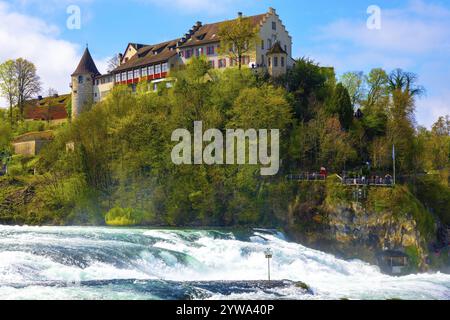 Rheinfall mit Schloss Laufen bei Neuhausen in Schaffhausen, Schweiz, Europa Stockfoto