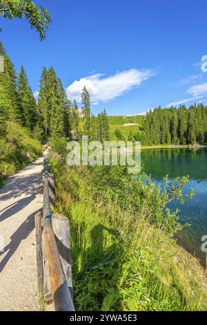 Touristen wandern auf einem Kiesweg entlang des Sees carezza, umgeben von üppiger grüner Vegetation und Tannen, an sonnigen Sommertagen in den dolomiten, ital Stockfoto