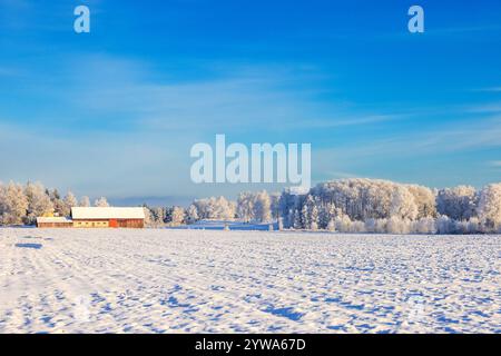 Schneebedecktes Feld mit Raureif auf den Bäumen in einer ländlichen Landschaft mit einer roten Scheune Stockfoto