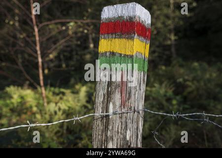 Pol mit farbenfrohen Markierungen, farbige Beschilderung der Route, GR-Pfad Altxonbide ibilbidea. GR 35, Naturpark Aralar, Guipuzcoa-Navarra, Spanien, Europa Stockfoto