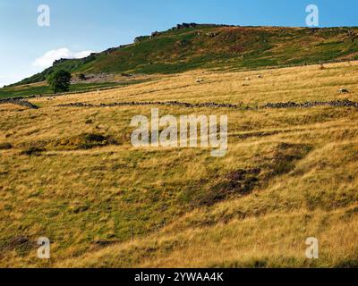 Großbritannien, Derbyshire, Peak District, Blick auf Bamford Edge von der Leeside Road. Stockfoto