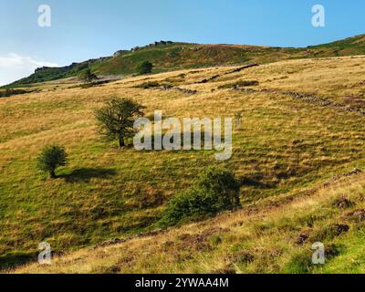 Großbritannien, Derbyshire, Peak District, Blick auf Bamford Edge von der Leeside Road. Stockfoto