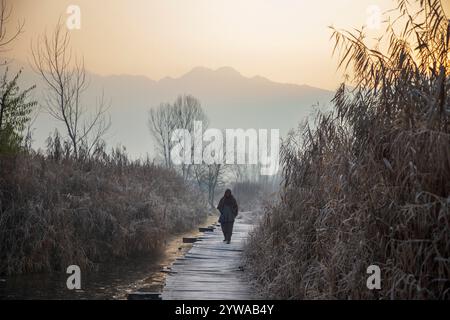 Eine Kaschmiri-Frau spaziert an einem kalten Wintermorgen in Srinagar auf einer frostbedeckten Holzbrücke im Inneren des weltberühmten Dal-Sees. Im Kaschmir-Tal herrschte intensive Kälte, da die Mindesttemperatur mehrere Grad unter den Gefrierpunkt fiel. Die Hauptstadt der Region Srinagar verzeichnet die kälteste Nacht der Saison bei minus 5,4 Grad Celsius (41,72 Grad Fahrenheit), berichteten Wetterbeamte in der Himalaya-Region. Stockfoto