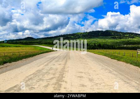 Eine unbefestigte Straße mit ein paar Bäumen im Hintergrund. Die Straße ist leer und niemand ist auf ihr Stockfoto