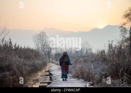 Srinagar, Indien. Dezember 2024. Eine Kaschmiri-Frau spaziert an einem kalten Wintermorgen in Srinagar auf einer frostbedeckten Holzbrücke im Inneren des weltberühmten Dal-Sees. Im Kaschmir-Tal herrschte intensive Kälte, da die Mindesttemperatur mehrere Grad unter den Gefrierpunkt fiel. Die Hauptstadt der Region Srinagar verzeichnet die kälteste Nacht der Saison bei minus 5,4 Grad Celsius (41,72 Grad Fahrenheit), berichteten Wetterbeamte in der Himalaya-Region. (Foto: Faisal Bashir/SOPA Images/SIPA USA) Credit: SIPA USA/Alamy Live News Stockfoto