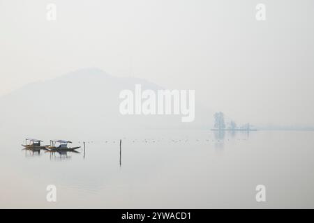 Srinagar, Jammu Und Kaschmir, Indien. Dezember 2024. Allgemeiner Blick auf den weltberühmten Dal-See an einem kalten und nebeligen Wintermorgen in Srinagar. Im Kaschmir-Tal herrschte intensive Kälte, da die Mindesttemperatur mehrere Grad unter den Gefrierpunkt fiel. Die Hauptstadt der Region Srinagar verzeichnet die kälteste Nacht der Saison bei minus 5,4 Grad Celsius (41,72 Grad Fahrenheit), berichteten Wetterbeamte in der Himalaya-Region. (Credit Image: © Faisal Bashir/SOPA Images via ZUMA Press Wire) NUR REDAKTIONELLE VERWENDUNG! Nicht für kommerzielle ZWECKE! Stockfoto