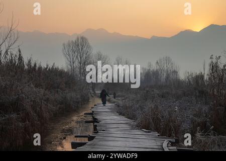 Srinagar, Jammu Und Kaschmir, Indien. Dezember 2024. Eine Kaschmiri-Frau spaziert an einem kalten Wintermorgen in Srinagar auf einer frostbedeckten Holzbrücke im Inneren des weltberühmten Dal-Sees. Im Kaschmir-Tal herrschte intensive Kälte, da die Mindesttemperatur mehrere Grad unter den Gefrierpunkt fiel. Die Hauptstadt der Region Srinagar verzeichnet die kälteste Nacht der Saison bei minus 5,4 Grad Celsius (41,72 Grad Fahrenheit), berichteten Wetterbeamte in der Himalaya-Region. (Credit Image: © Faisal Bashir/SOPA Images via ZUMA Press Wire) NUR REDAKTIONELLE VERWENDUNG! Nicht für kommerzielle USA Stockfoto