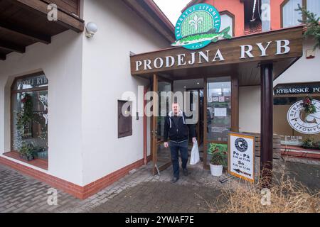 Litomysl, Tschechische Republik. Dezember 2024. Weihnachtsverkauf von Karpfen in Litomysl, Tschechische Republik, 10. Dezember 2024. Karpfen ist traditionelles tschechisches Essen am Weihnachtsabend. Quelle: Josef Vostarek/CTK Photo/Alamy Live News Stockfoto