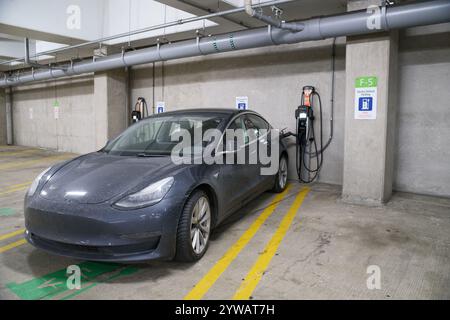 Ein Tesla Model 3 Elektroauto an einer öffentlichen ChargePoint-Ladestation in einem Parkhaus in Ann Arbor Michigan USA Stockfoto