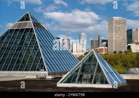 Pyramiden des Muttart Conservatory vor der Skyline im Zentrum von Edmonton, Alberta Stockfoto