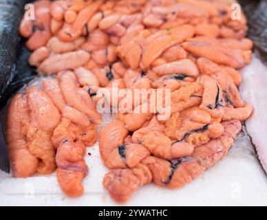 Fischmarkt mit vielen verschiedenen frischen Fischen. Stockfoto