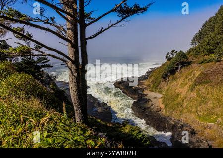 Devil's Churn entlang der Küste von Oregon, Siuslaw National Forest, Oregon, USA Stockfoto