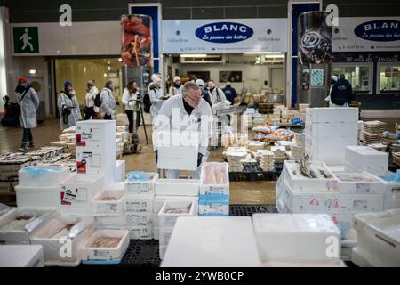 Käufer und Verkäufer in der Fish and Sea Products Halle des International Wholesale Food Market (MIN) in Rungis, nahe Paris, Frankreich. Dezember 2024. Foto: Eliot Blondet/ABACAPRESS. COM Credit: Abaca Press/Alamy Live News Stockfoto