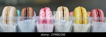 Banner aus hellen französischen Macarons mit weißem Paperpan in einer Reihe, transparenter Plastikkarton auf Küchenarbeitsplatte, bunte Kuchen verschiedene Geschmacksrichtungen Stockfoto