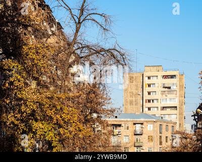 Jerewans Stadtbild mit gelbem Baum am sonnigen Herbsttag Stockfoto
