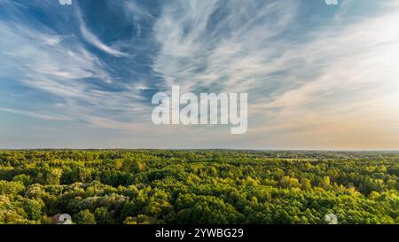 Ein atemberaubender Blick aus der Luft auf ein riesiges Walddach unter einem dramatischen Himmel voller flauschiger Wolken. Die kontrastierenden Farben und Texturen sorgen für einen betörenden Eindruck Stockfoto