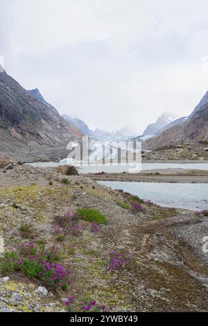 Wunderschöne Wanderung entlang eines Schmelzwasserflusses mit Gletscher und Bergen im Hintergrund. Prince Christian Sound, Südgrönland, Dänemark Stockfoto