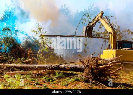 Bei der Rodung von Bauland werden entwurzelte Bäume verbrannt, was zu Umweltproblemen führt Stockfoto