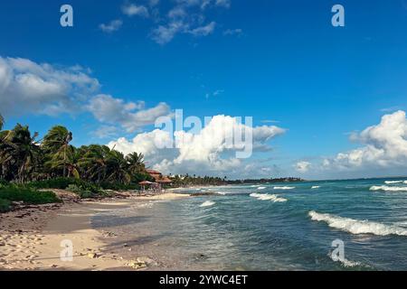 Ruhiger Strand mit Palmen und sanften Wellen unter sonnigem Himmel in einem tropischen Paradies Stockfoto