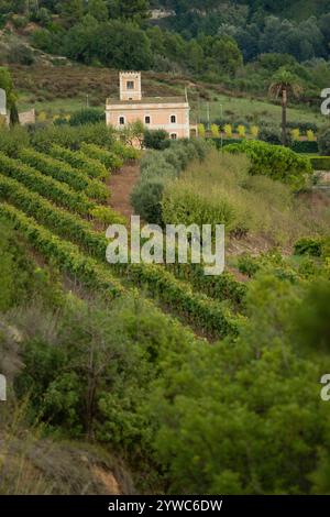 Gebäude in ausgedehnten Weinbergen in der qualifizierten Weinregion Penedes, Spanien Stockfoto