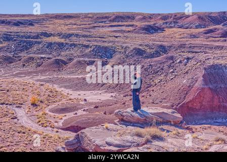 Seitenansicht eines Mannes auf einer Klippe mit Blick auf Dead Wash, Petrified Forest National Park, Arizona, USA Stockfoto