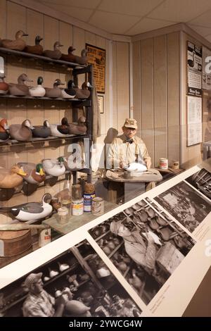 Havre de Grace Decoy Museum, Hauptstadt der Welt, zeigt Arbeits- und Dekorative Decoys der Chesapeake Bay in Maryland, USA. Stockfoto