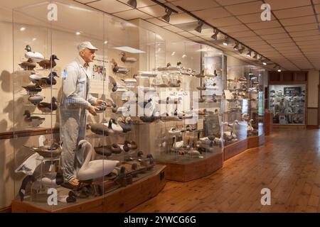 Havre de Grace Decoy Museum, Hauptstadt der Welt, zeigt Arbeits- und Dekorative Decoys der Chesapeake Bay in Maryland, USA. Stockfoto